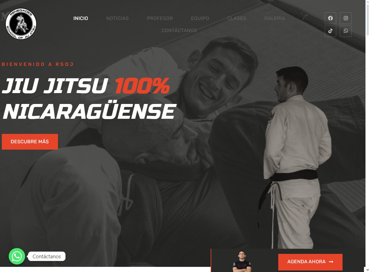 Renegades School of Jiu Jitsu