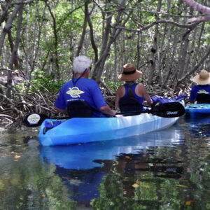 Private Tours