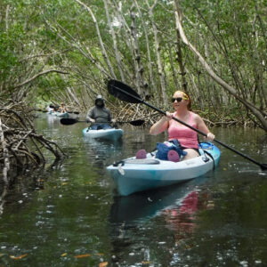 Guided Mangrove Tunnel Tour
