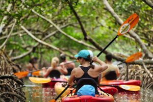 Guide Kayak Tour