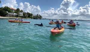 Kayak & Paddle Board Rental
