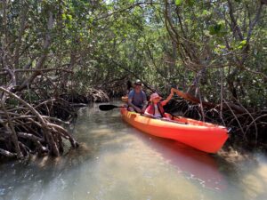 Guided Mangrove Tunnel Tour