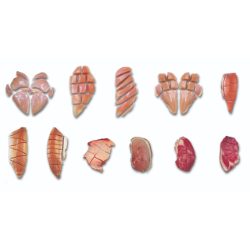 meat portion illus flat